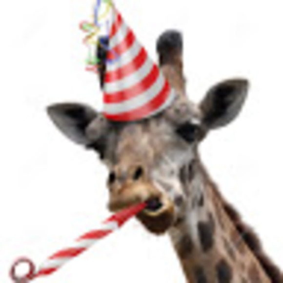 Meet your Posher, Riley - Picture 1 of 1